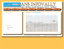 Tablet Screenshot of ansinfovally.com